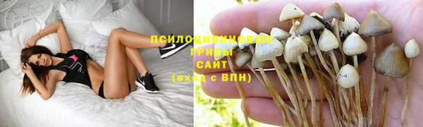 Альфа ПВП Бронницы