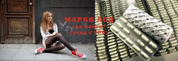 прущие грибы Бугульма